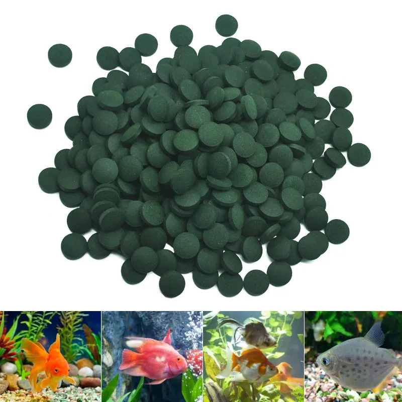 100-3000pc Tablet Spirulina Ke - Marine Aquarium Bacteria ulasan dan harga