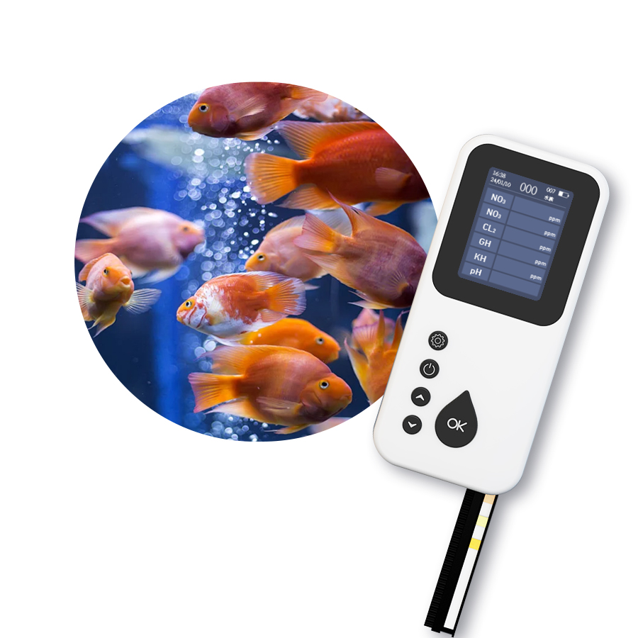 Alat Uji Kualitas Air Digital  - Aquarium & Marine Museum Universiti Malaysia Sabah Kota Kinabalu Sabah ulasan dan harga