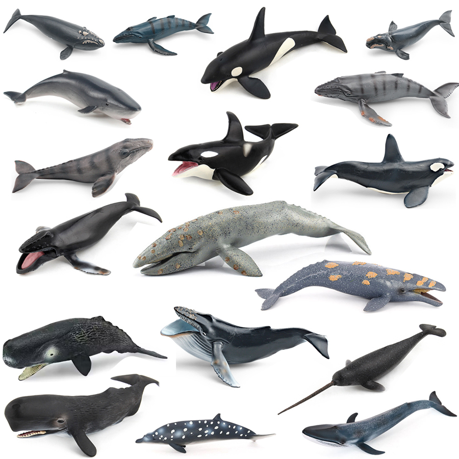 Model Hewan Laut Realistis: Pa - Marine Aquarium Decorations ulasan dan harga
