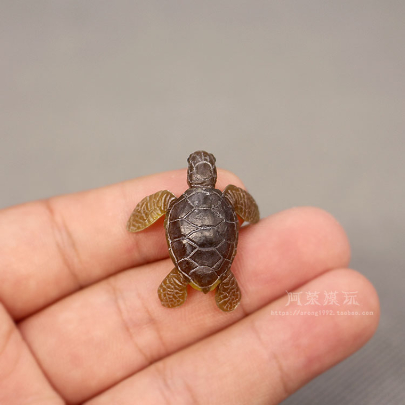 Kehidupan Laut Penyu Model Orn - Marine Aquarium Japan ulasan dan harga