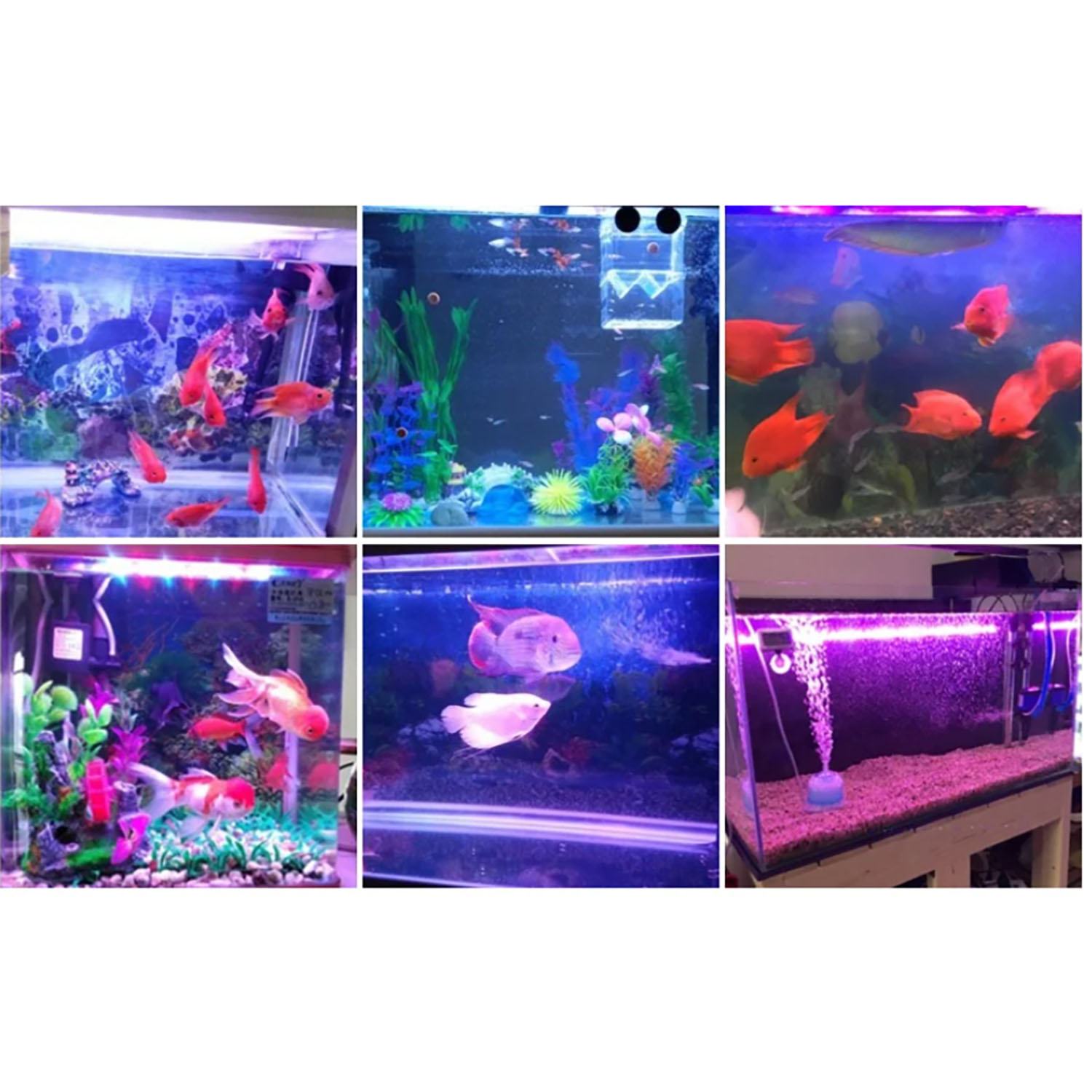 50W 60W 70W 100W RGB 26-28V La - Marine Aquarium Uv Light ulasan dan harga