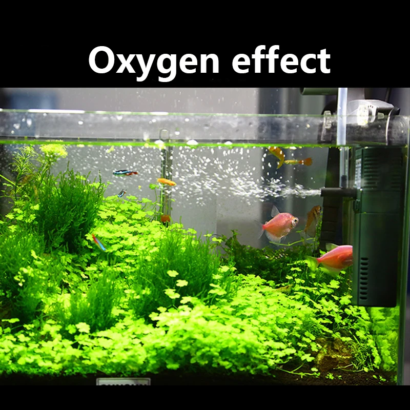 SUNSUN mini nano 111B 311B 611 - Marine Aquarium Uv Light ulasan dan harga